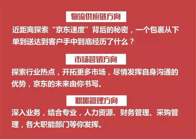 毛俊镇最新招聘信息全面解析