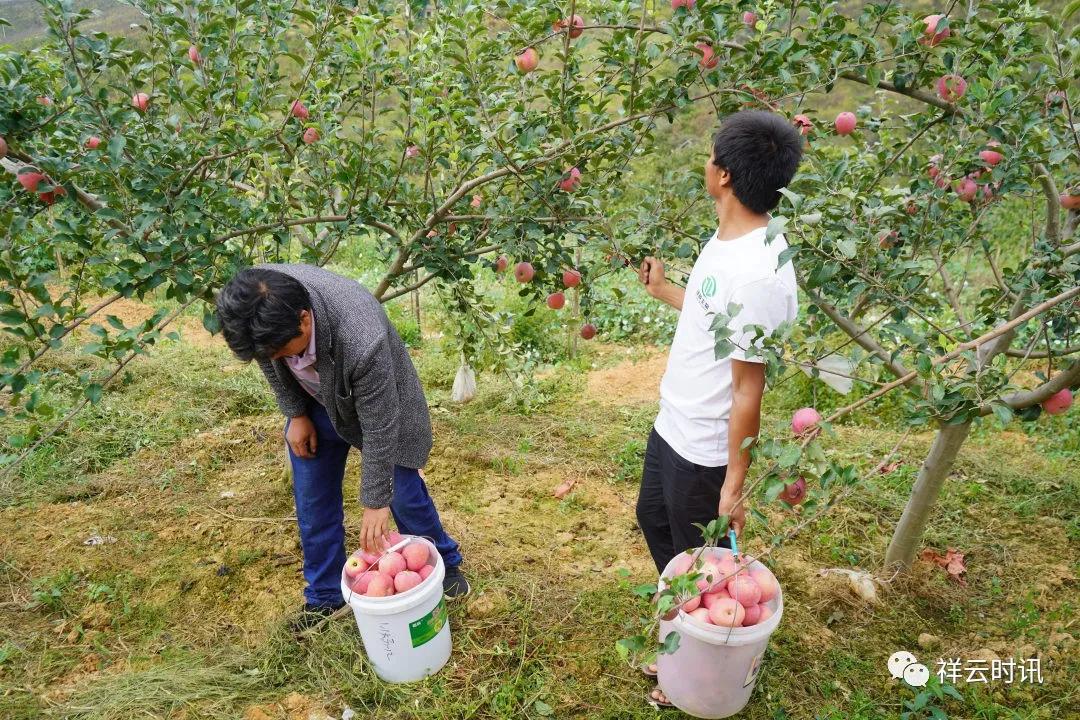 园艺场虚拟村委会招聘启事，探索最新工作机会与招聘信息