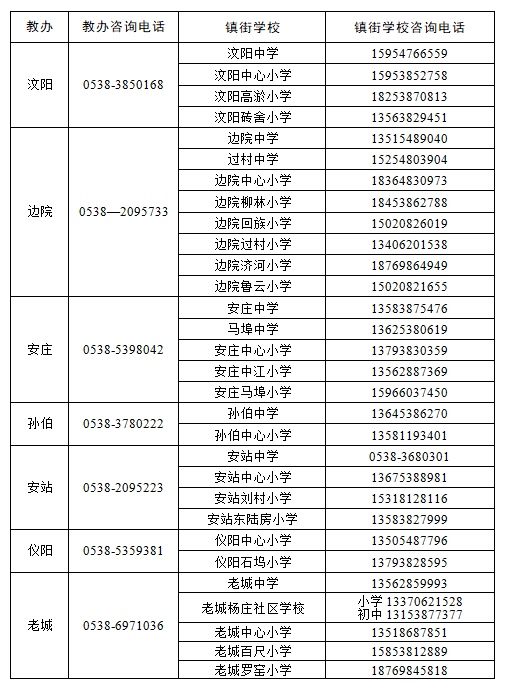 肥城市小学未来发展规划展望