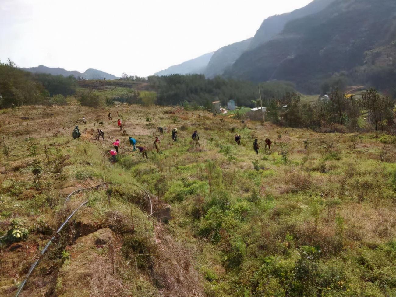 灯塔村迈向现代化交通新里程碑，最新交通新闻报道