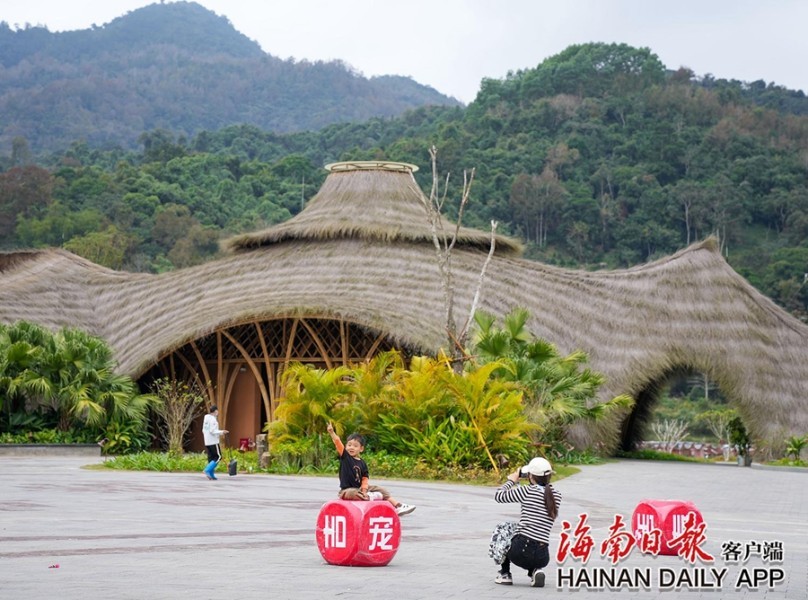 纳热村典范项目，引领乡村发展新篇章