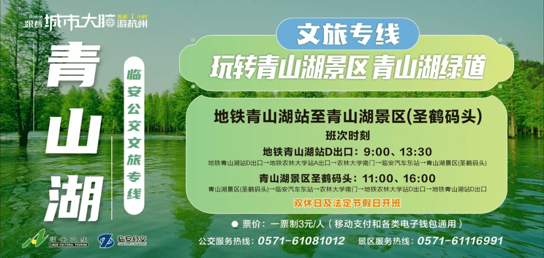 洞托村最新招聘信息及就业机遇探讨