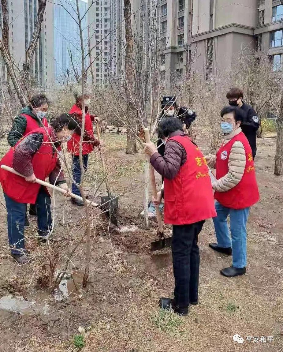 和平新村社区居委会最新动态报道