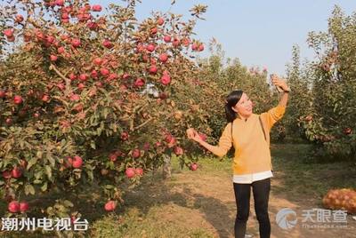 大连华侨果树农场新领导团队引领迈向发展新高地