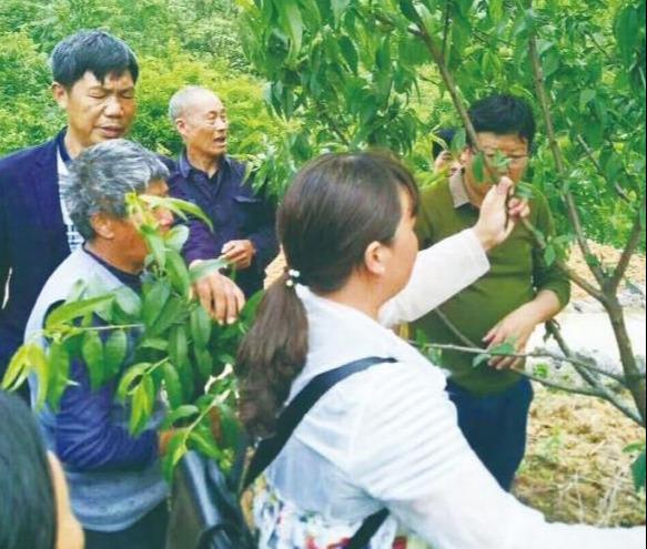 炎陵县初中领导团队，引领变革，塑造未来