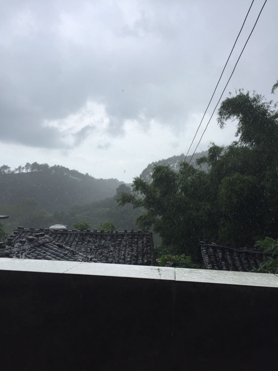 灵地镇天气预报更新通知