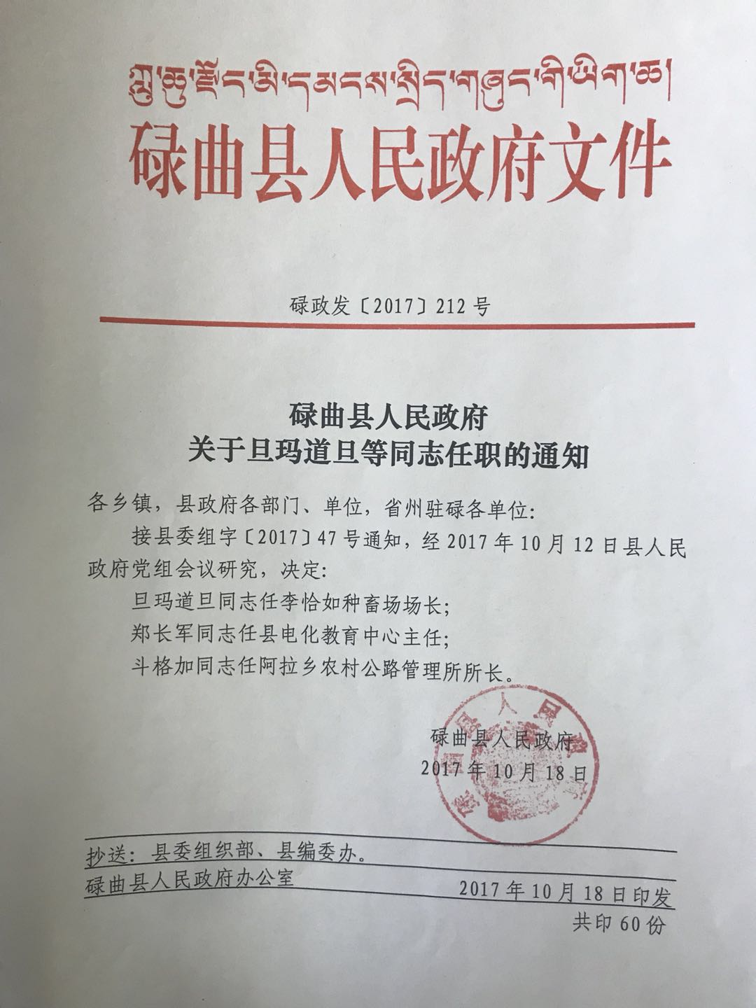 察隅县人民政府办公室人事任命揭晓，县域发展新篇章开启